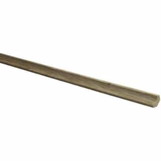 Oak Scotia Moulding product image